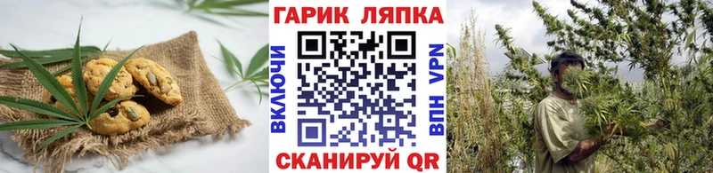 купить наркотик  мега сайт  Cannafood марихуана  Лысково 